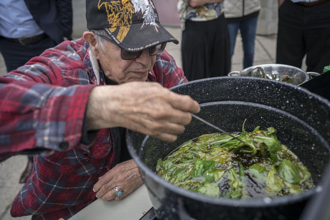 Indigenous Peoples are Leading in Protecting Our Land