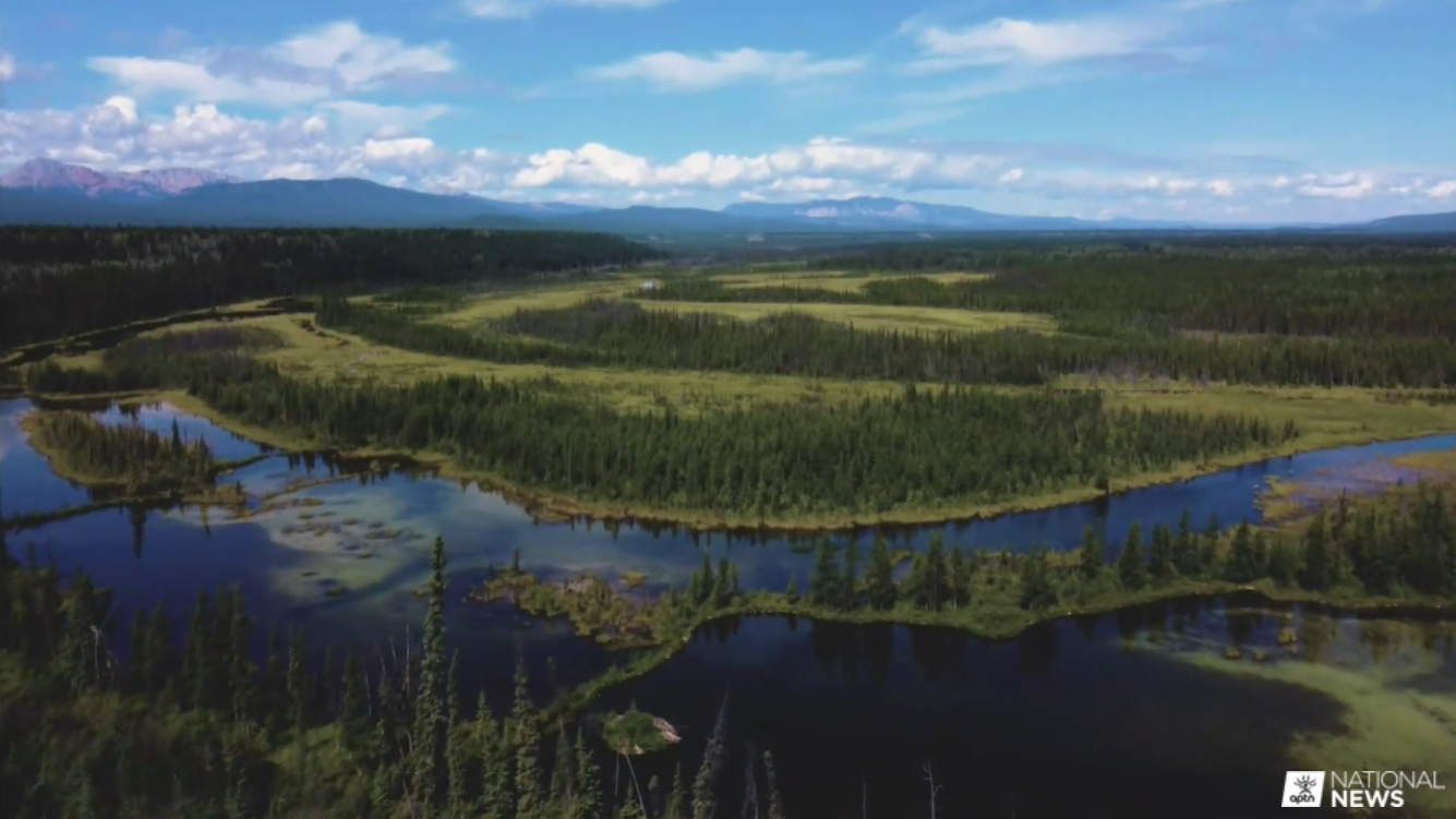Indigenous Stewardship Essential to Prevent Biodiversity Loss, Say First Nations Conservationists