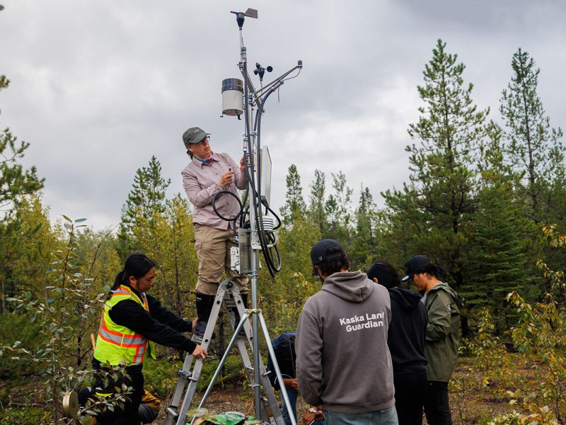 Credit: Jordan Melograna / Indigenous Leadership Initiative

Permissions: All IBCC partners OK for non-commercial use. Refer to MOU.

No known expiration date for permissions.

Contact: denakayeh@gmail.com