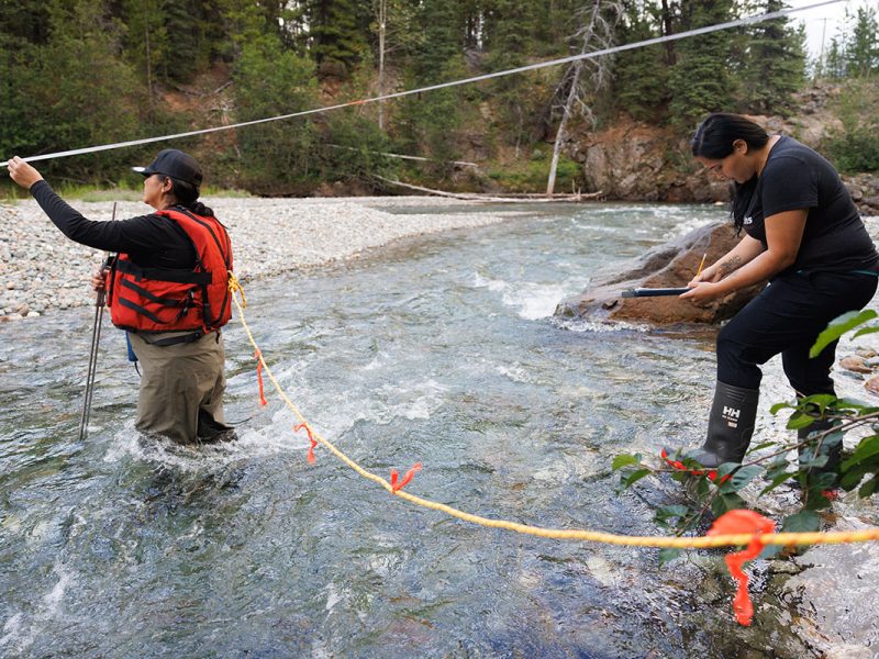 Credit: Jordan Melograna / Indigenous Leadership Initiative

Permissions: All IBCC partners OK for non-commercial use. Refer to MOU.

No known expiration date for permissions.

Contact: denakayeh@gmail.com