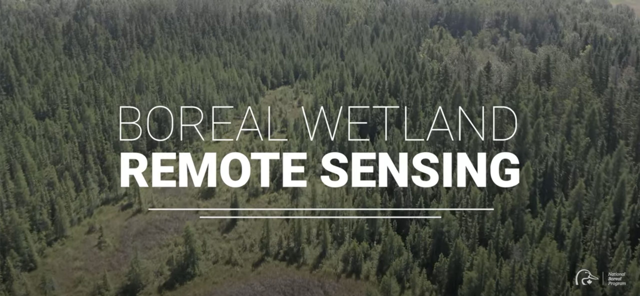 Boreal Wetland Remote Sensing