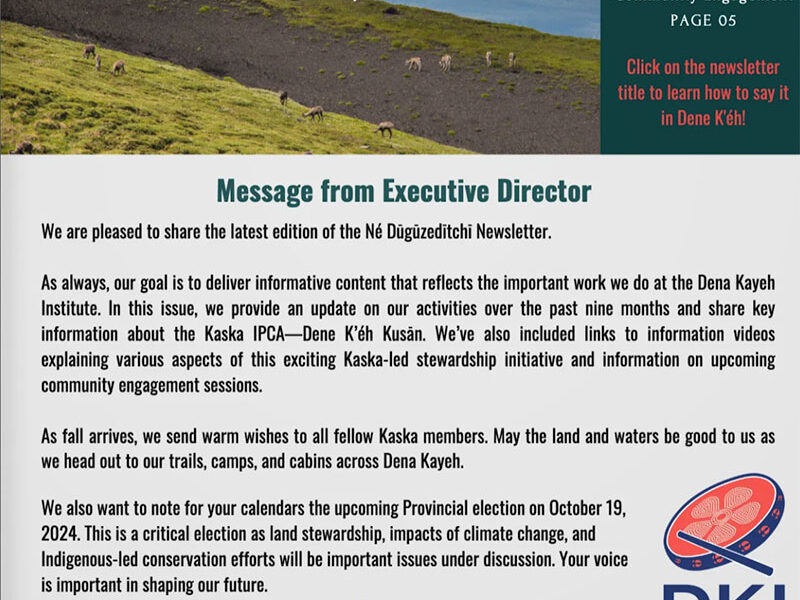 Dene Kayeh Institute Newsletter – Volume 3, Issue 1