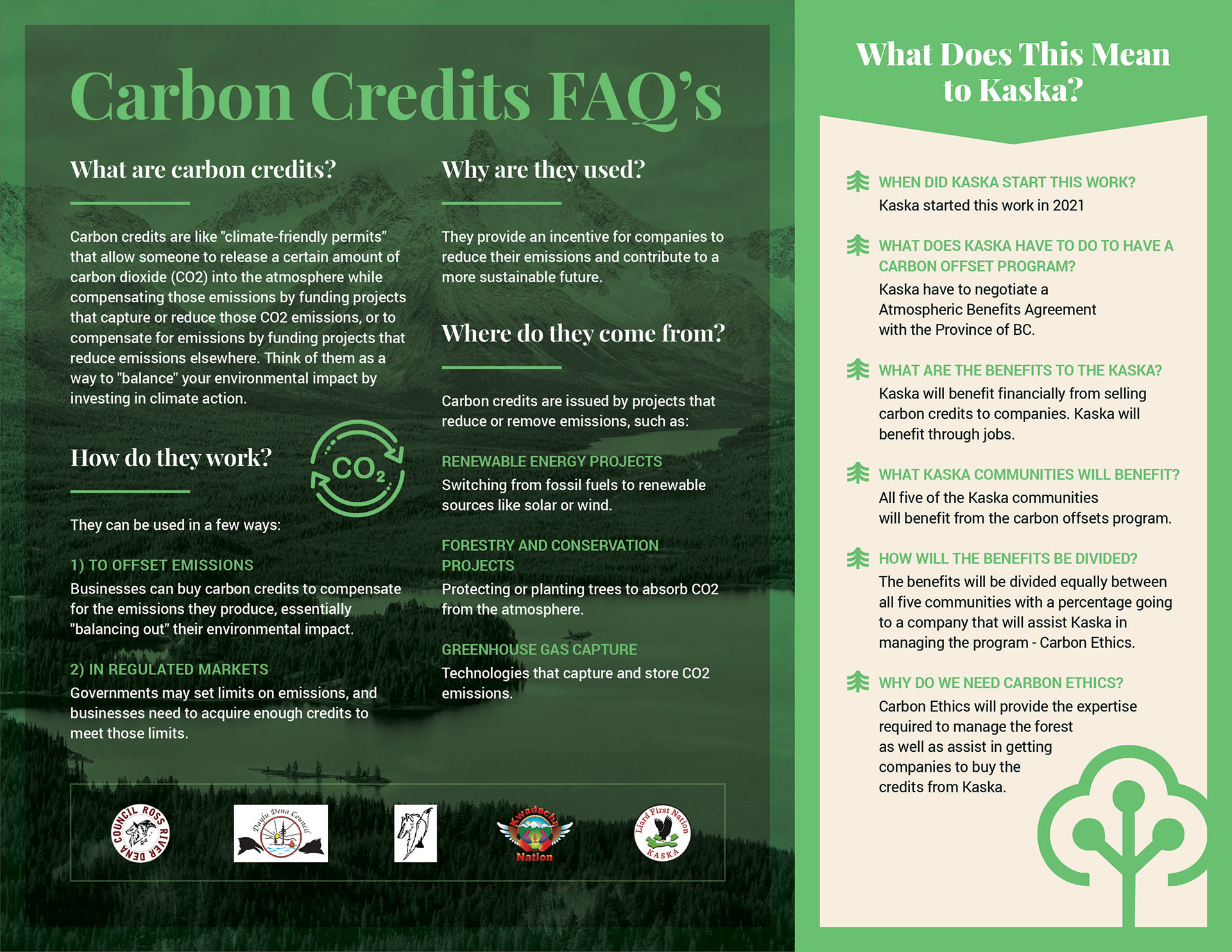Carbon Credits Document
