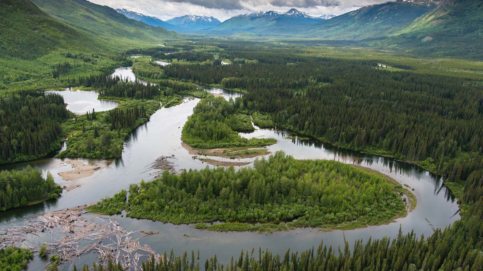 Dene Kʼéh Kusān – Questions and Answers